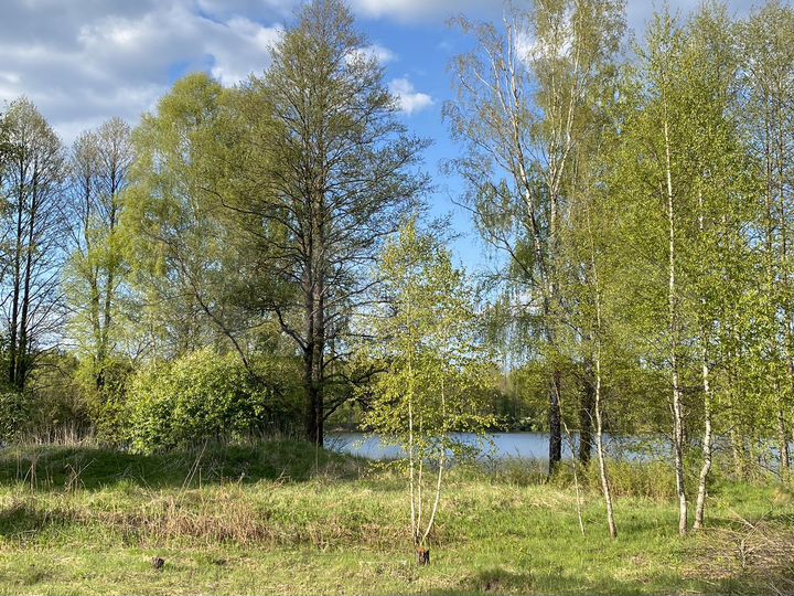 Участок 25 сот. (ИЖС)