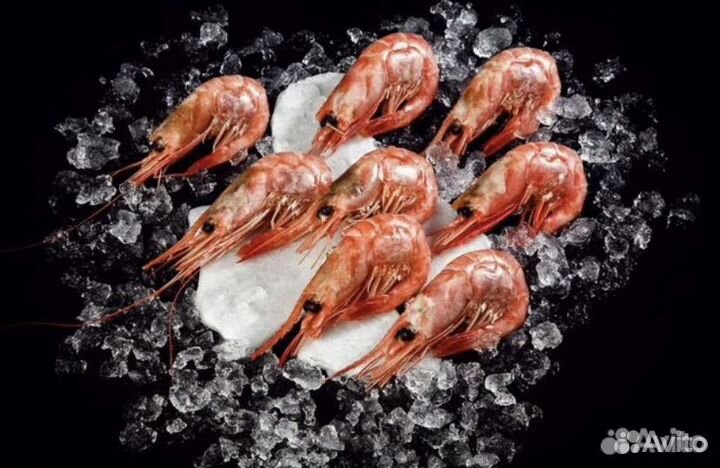 Креветка северная оптом