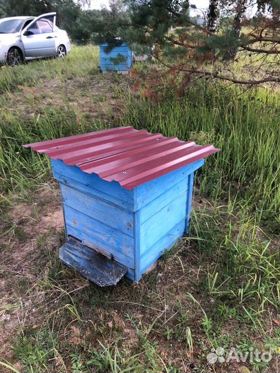 Улей с пчёлами