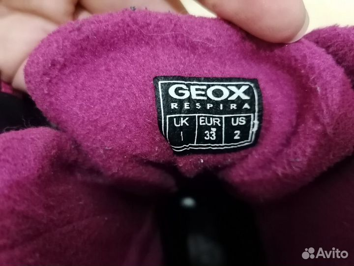 Зимние сапоги Geox