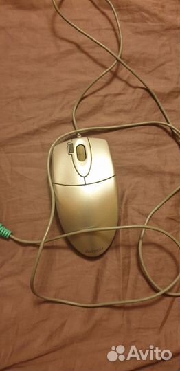 Мышь