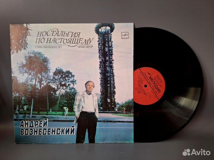 Виниловые пластинки стихи