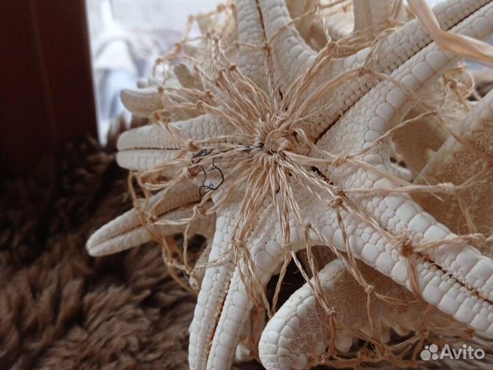 Морская звезда