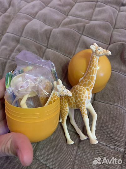 Обмен киндер natoons