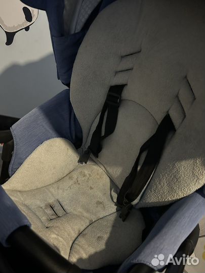 Коляска adamex chantal 3/1