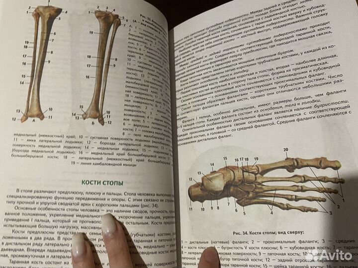 Медицинский атлас 