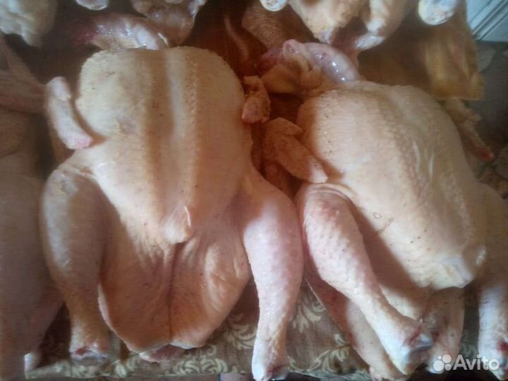 Домашнее мясо кур бройлера и индейки