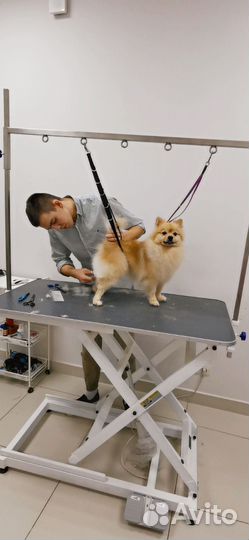 Стрижка собак груминг