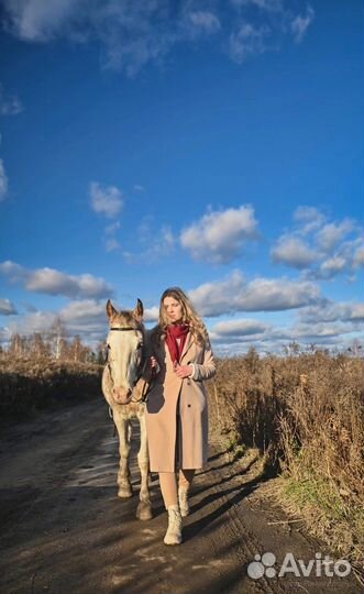 Конные прогулки