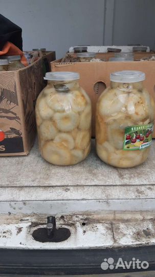 Грибы соленые грузди,рыжики,маслята,сухие белые