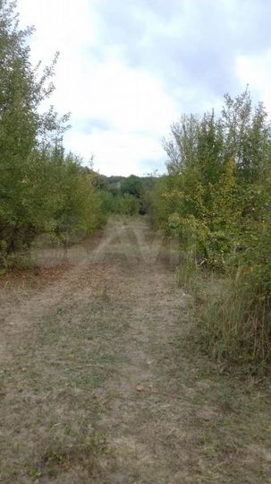 Участок 12,5 сот. (СНТ, ДНП)