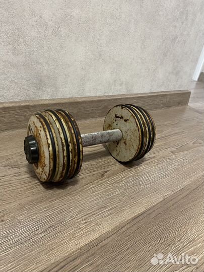 Гантели разборные