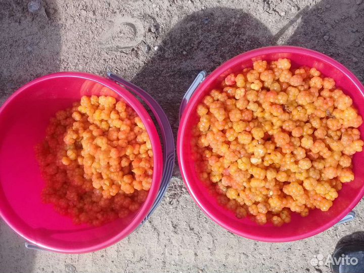 Морошка варенье 0,7л