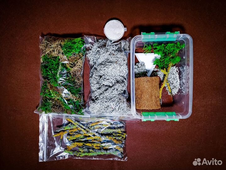 Террариумы для ахатин улиток, наполнение