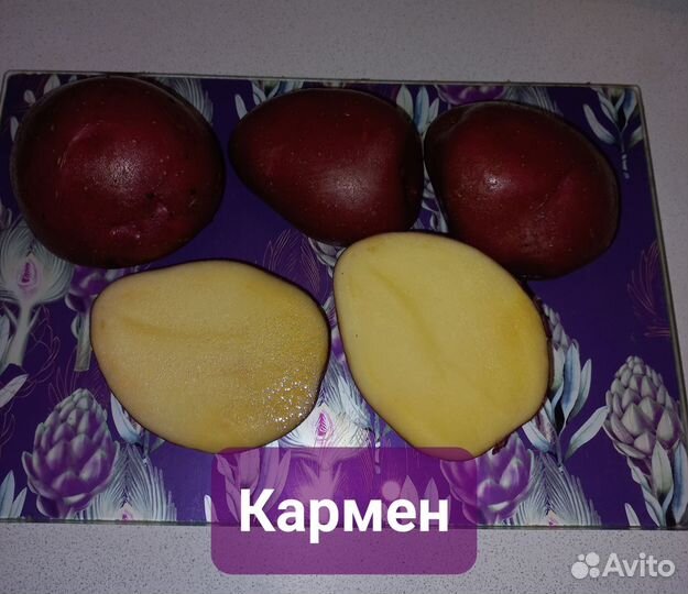 Семенной картофель элит качество