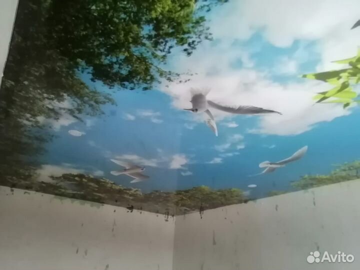 Натяжные потолки