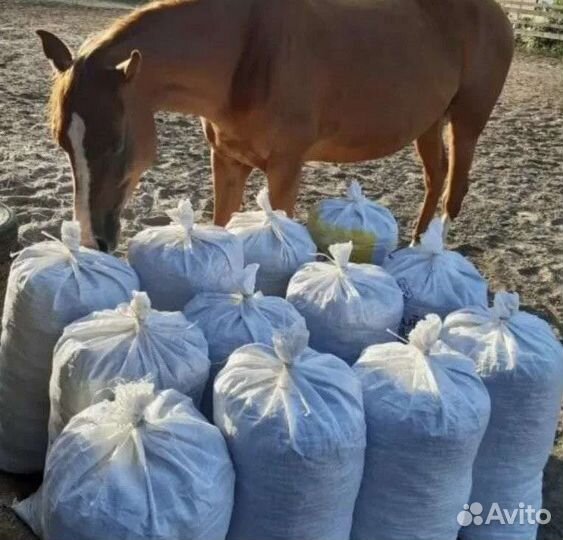 Навоз перегной конский