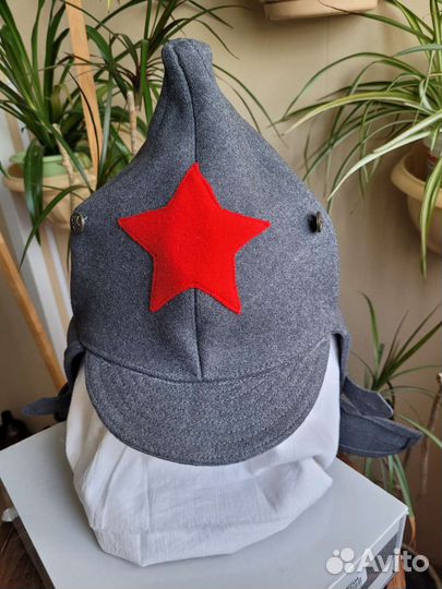 Буденовка