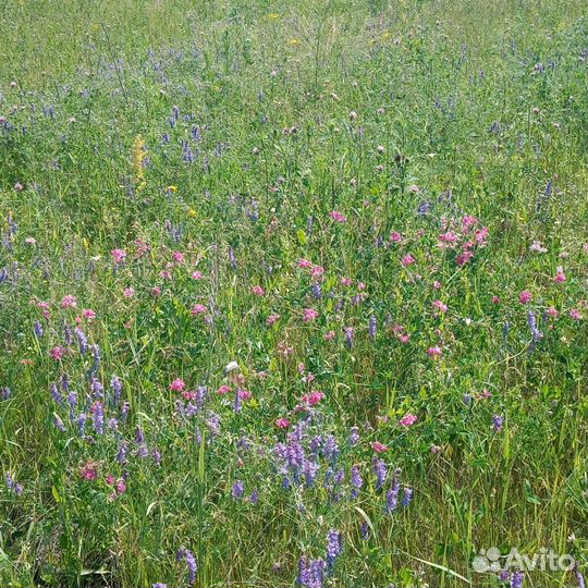 Сено продажа, обмен
