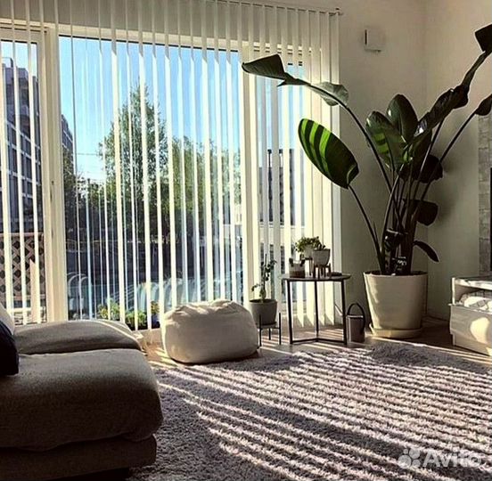 Рулонные шторы