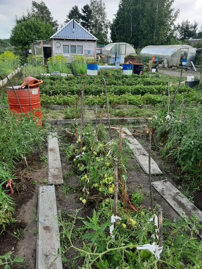 Дом 60 м² на участке 12 сот.