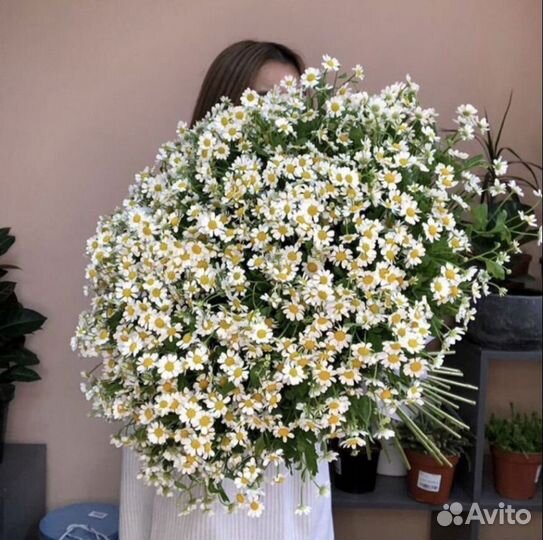 Ромашка букет гигант