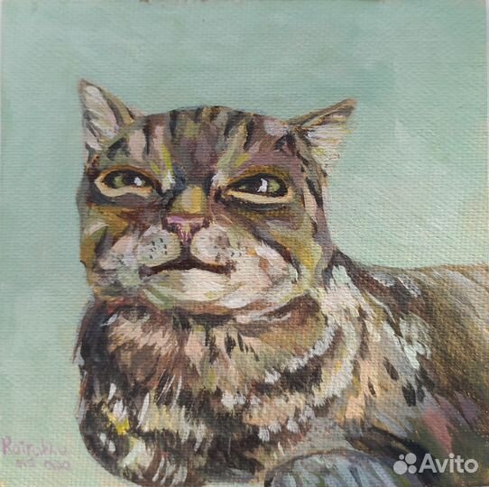 Портрет домашнего животного