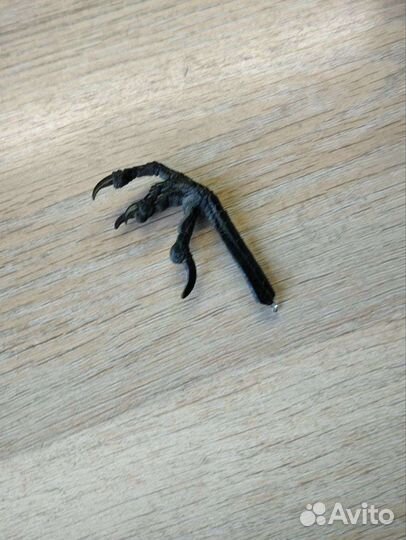 Лапка вороны (с проушиной/петелькой)