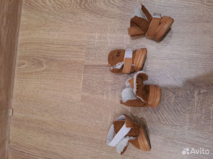 Обувь для маленьких собак