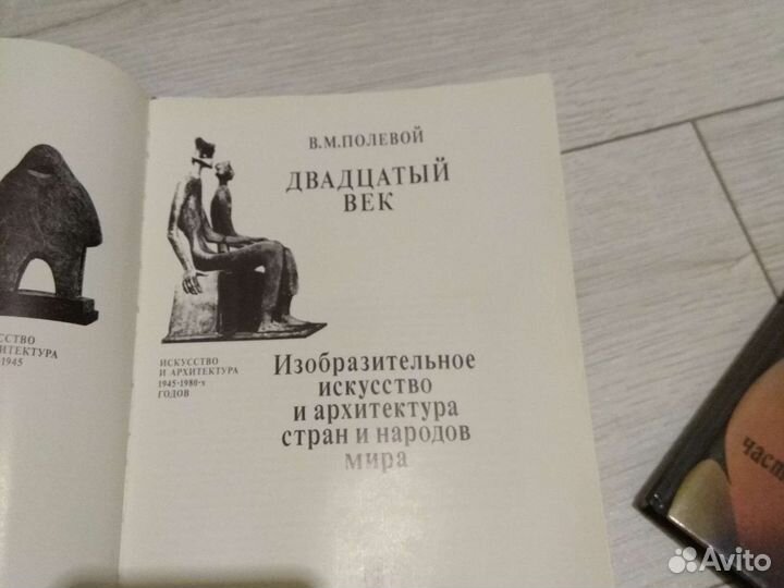 Двадцатый век В.М. Полевой