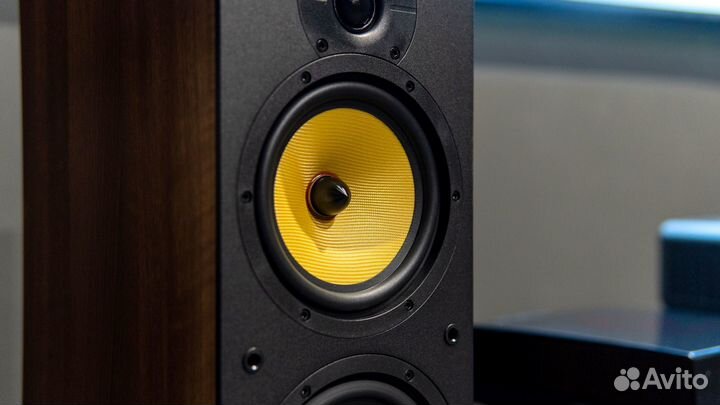 Davis Acoustics Hera 250