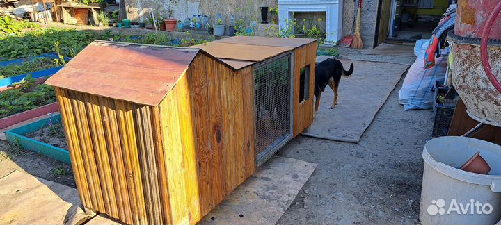 Собачья конура