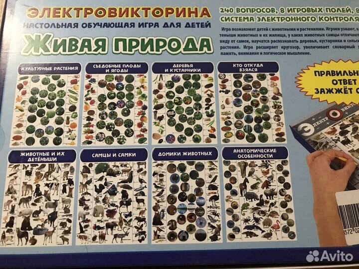 Игра развивающая настольная