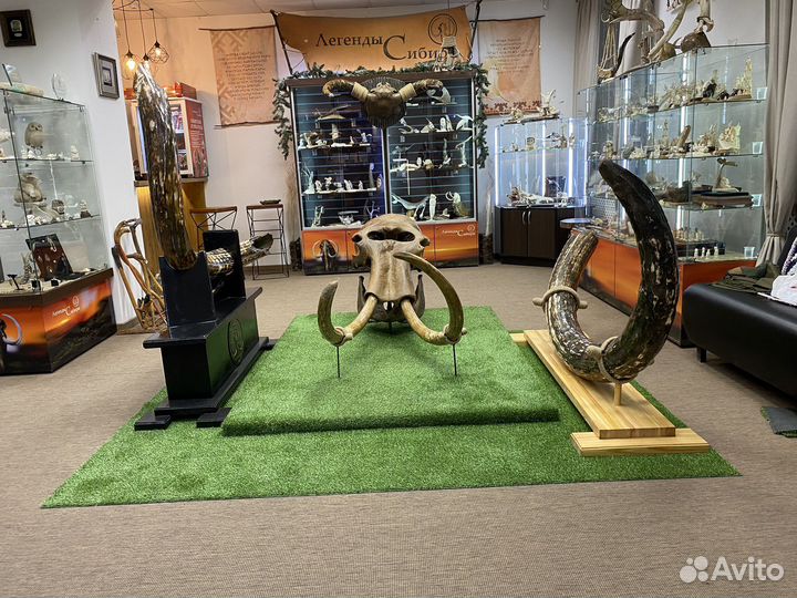 Сувенир, бивень мамонта