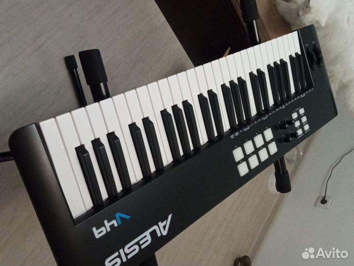 Alesis v49 mkii