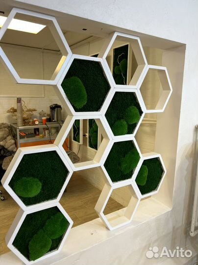 Соты со стабилизированным мхом