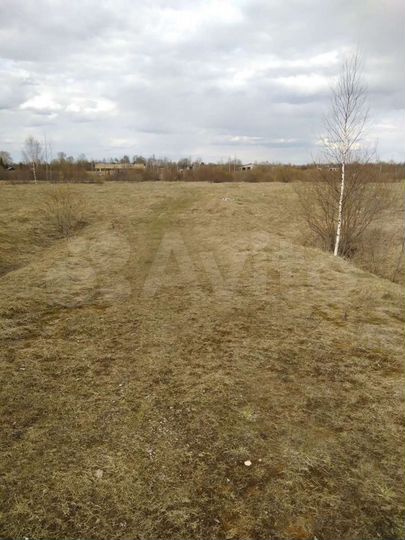 Участок 50 сот. (ИЖС)