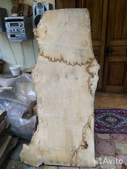 Слэб каштана 160см высота толщина 65мм