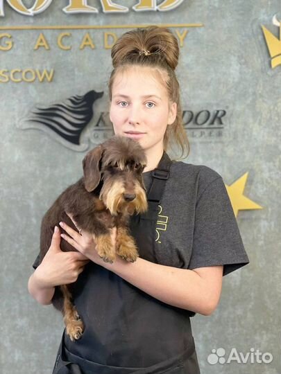 Груминг стрижка собак и кошек