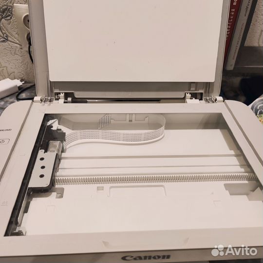 Принтер Canon pixma mg2440