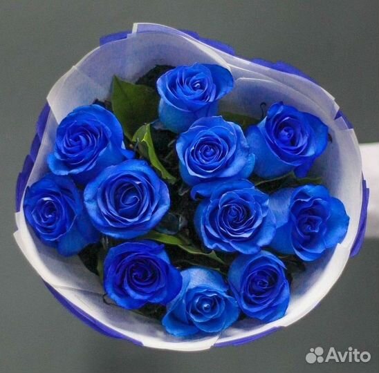 Синие розы Цветы Доставка