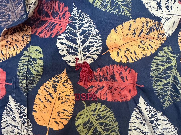 Рубашка для мальчика US Polo 104-110