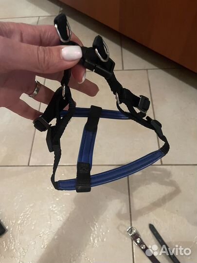 Одежда для собак пакетом