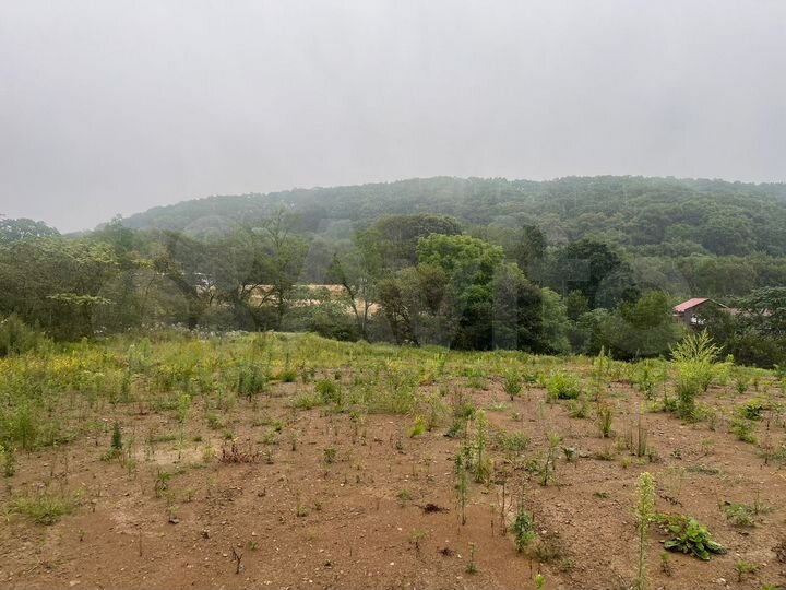 Участок 20 сот. (СНТ, ДНП)