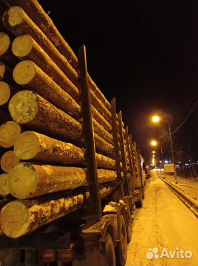 Лес кругляк / Дрова