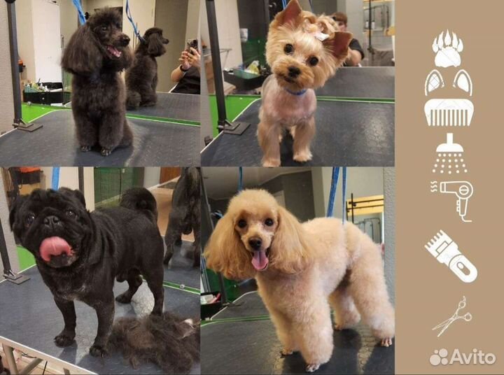 Стрижка собак и кошек, грумер, уралмаш