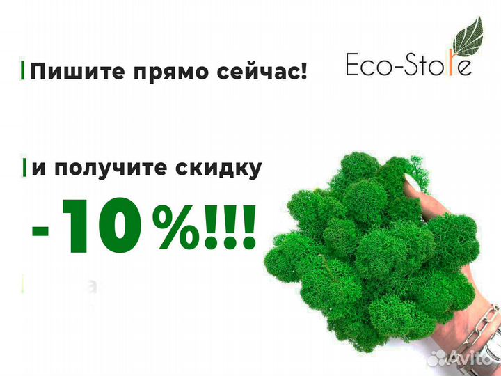 Круг из стабилизированного мха с подсветкой