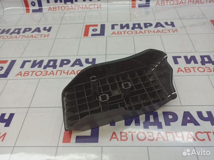 Накладка декоративная под ногу Toyota Land Cruiser Prado (J150) 58190-60170