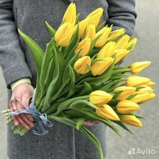 Тюльпаны к 8 Марта жёлтые