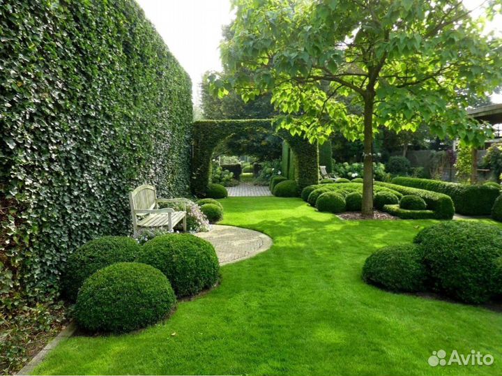 Рулонный газон.Ландшафтное проектирование под ключ